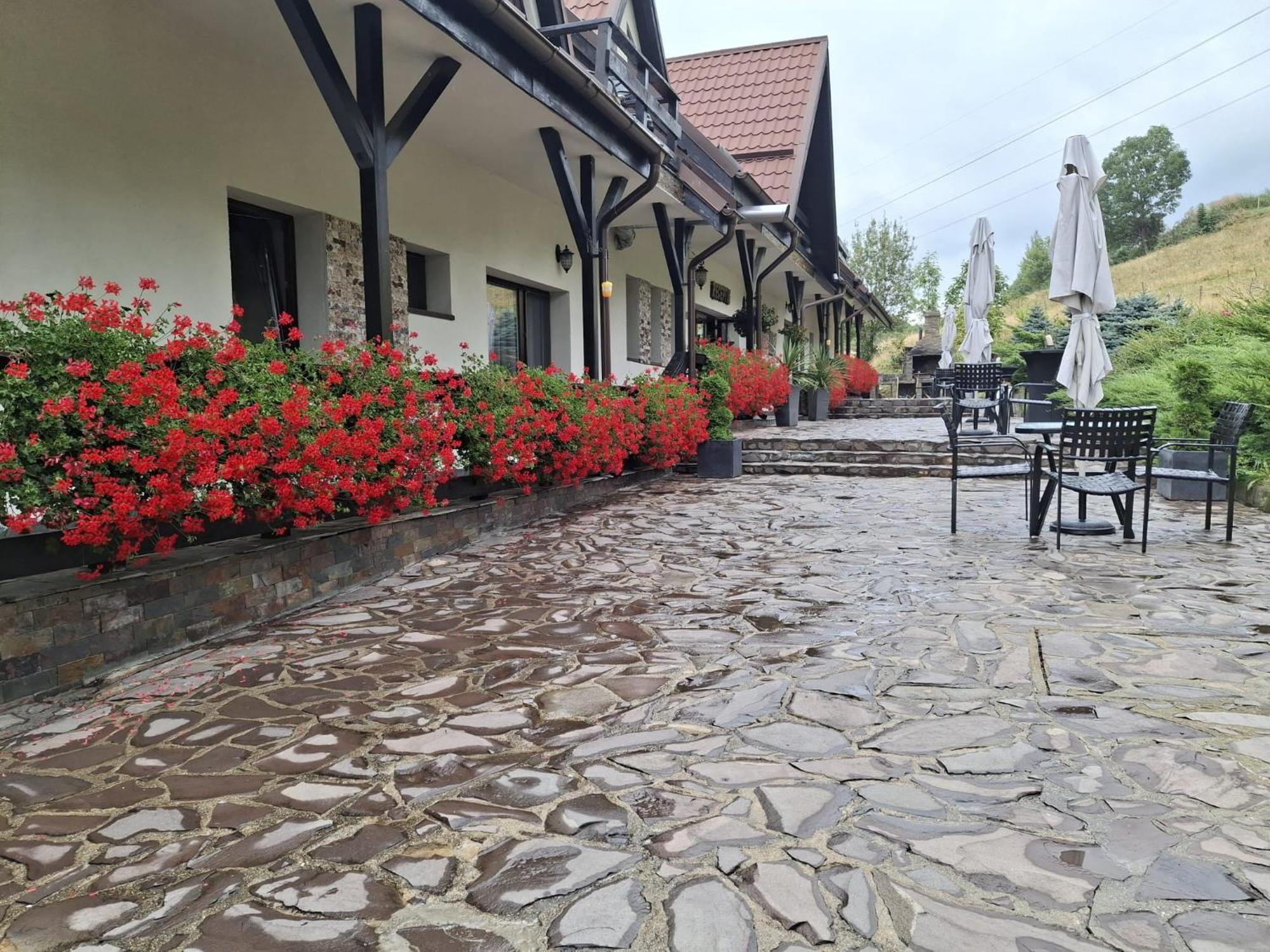 Contele Vladimir Hotel Bran  Ngoại thất bức ảnh